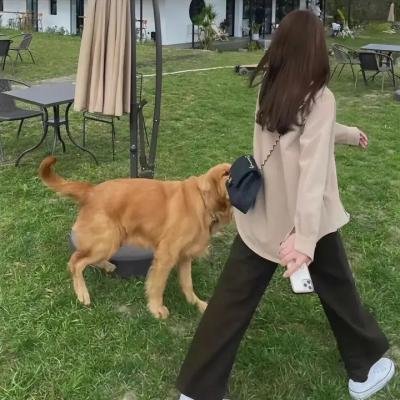 诗人奶奶